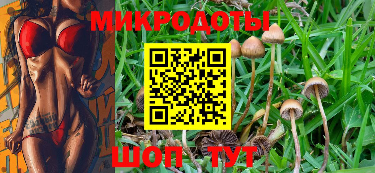 Галлюциногенные грибы Cubensis Оренбург