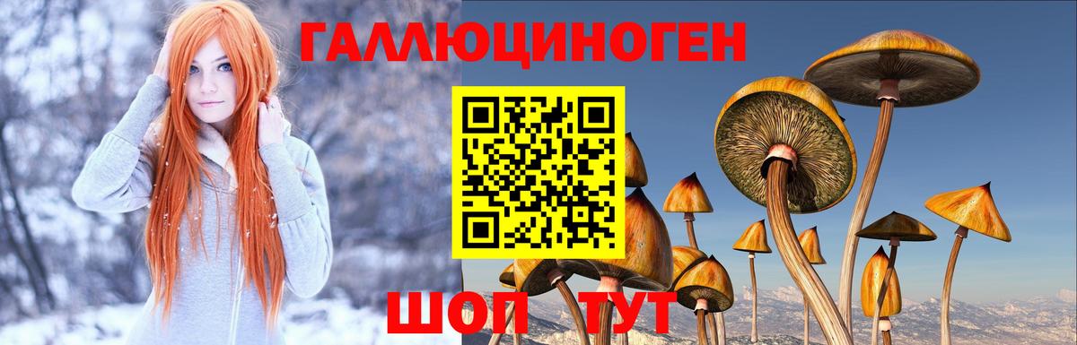Галлюциногенные грибы прущие грибы  Псилоцибиновые грибы Cubensis  наркота  Вход с VPN  Оренбург 